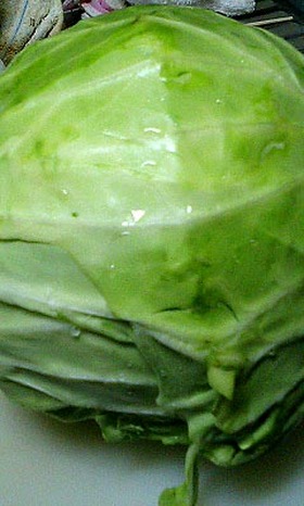 キャベツ1玉を長持ちさせる方法