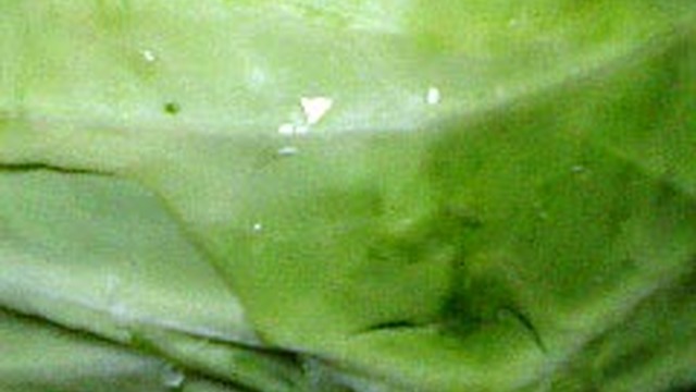 キャベツ1玉を長持ちさせる方法 レシピ 作り方 By あすみんみん クックパッド 簡単おいしいみんなのレシピが361万品