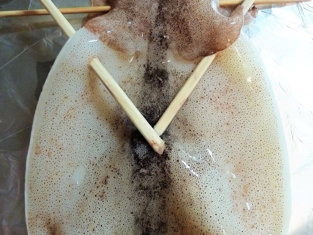 これで完璧 丸まらないイカ一夜干し焼き方 レシピ 作り方 By Kouayaa クックパッド 簡単おいしいみんなのレシピが356万品