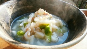 犬ご飯 簡単なべうどん