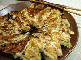お肉の入ってないツナ餃子