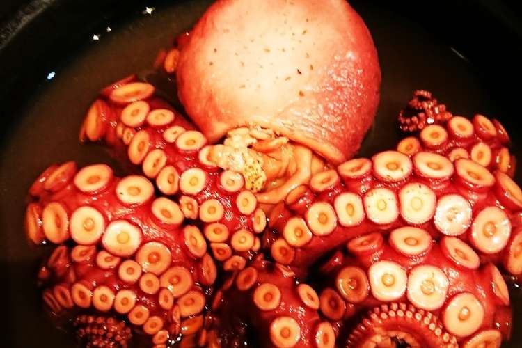 タコ柔らか煮 レシピ 作り方 By ぼうぼうず クックパッド 簡単おいしいみんなのレシピが355万品