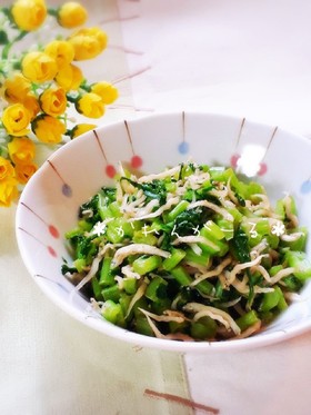 ♡大根の葉&ちりめんの和風炒め♡