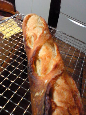 捏ねなくていいパンdeフランスパン