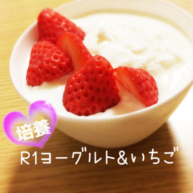 ☆ヨーグルトメーカー DE ヨーグルト☆
