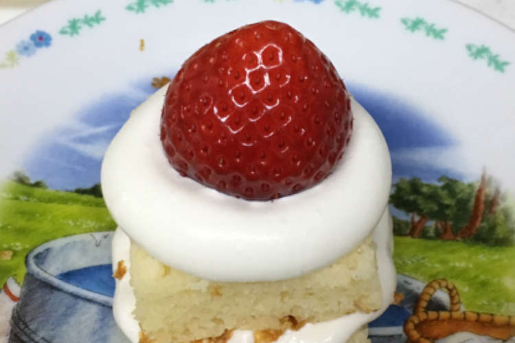 蓋 鰐 覚醒 ホット ケーキ ショート ケーキ Ordfghana Org