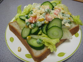 ボリュームたっぷり野菜サンド