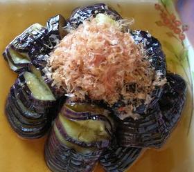 茄子の揚げ浸し
