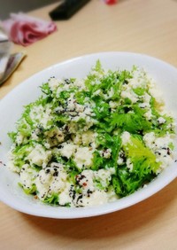 ワサビ菜と豆腐のサラダ
