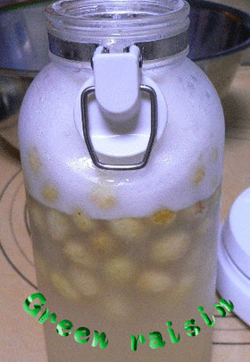 レーズンの自家製天然酵母