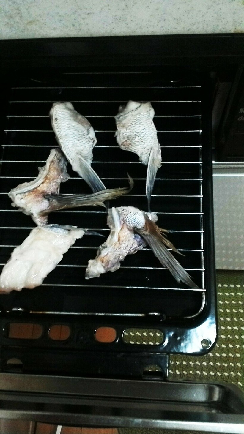 鯛のかまの塩焼き☆の画像