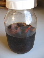 青しそ酢で、青しそ風味るるポン酢の写真
