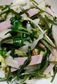 ☆白菜 切り昆布  ハム サラダ
