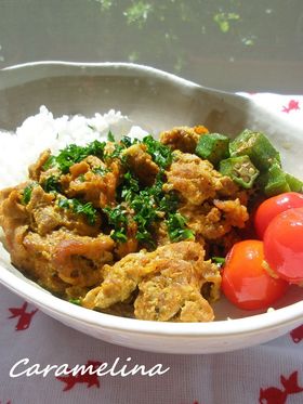 オーブントースターで*タンドリー豚こま丼
