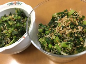 丸大根葉とちりめんじゃこの生ふりかけ
