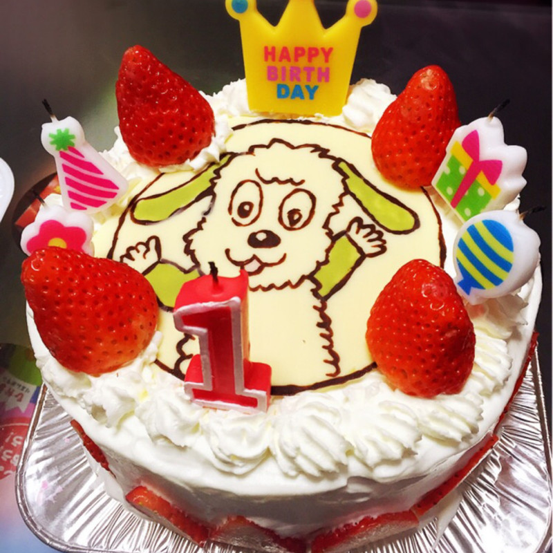 みんなが作ってる ワンワン ケーキのレシピ クックパッド 簡単おいしいみんなのレシピが373万品