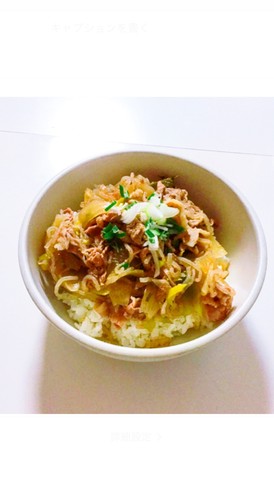 豚丼 (化学調味料無添加)