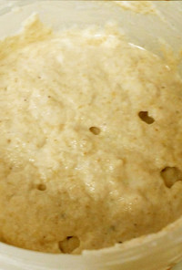 米ぬかで酵母作り　ライスブランのパン種に