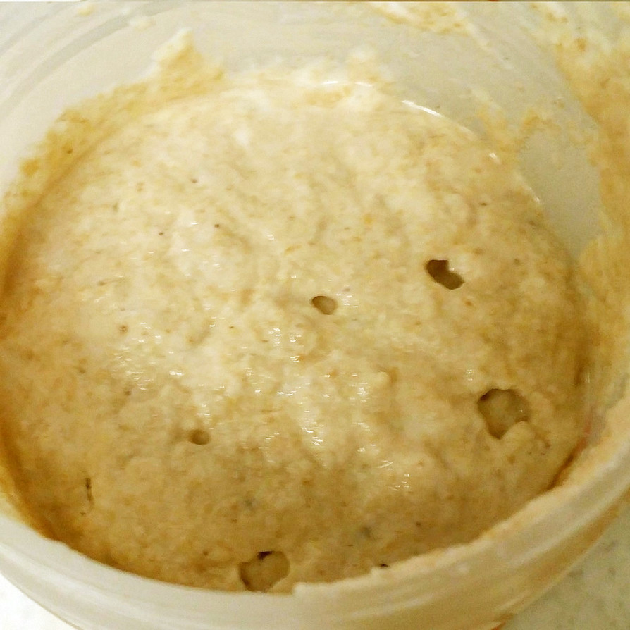 米ぬかで酵母作り　ライスブランのパン種にの画像
