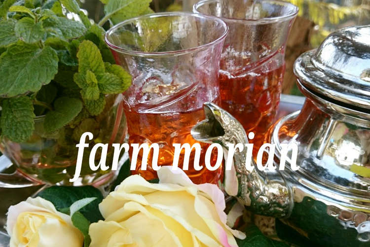 モロッコ式で香りさわやか ミントティー レシピ 作り方 By もりあん農園 クックパッド 簡単おいしいみんなのレシピが358万品