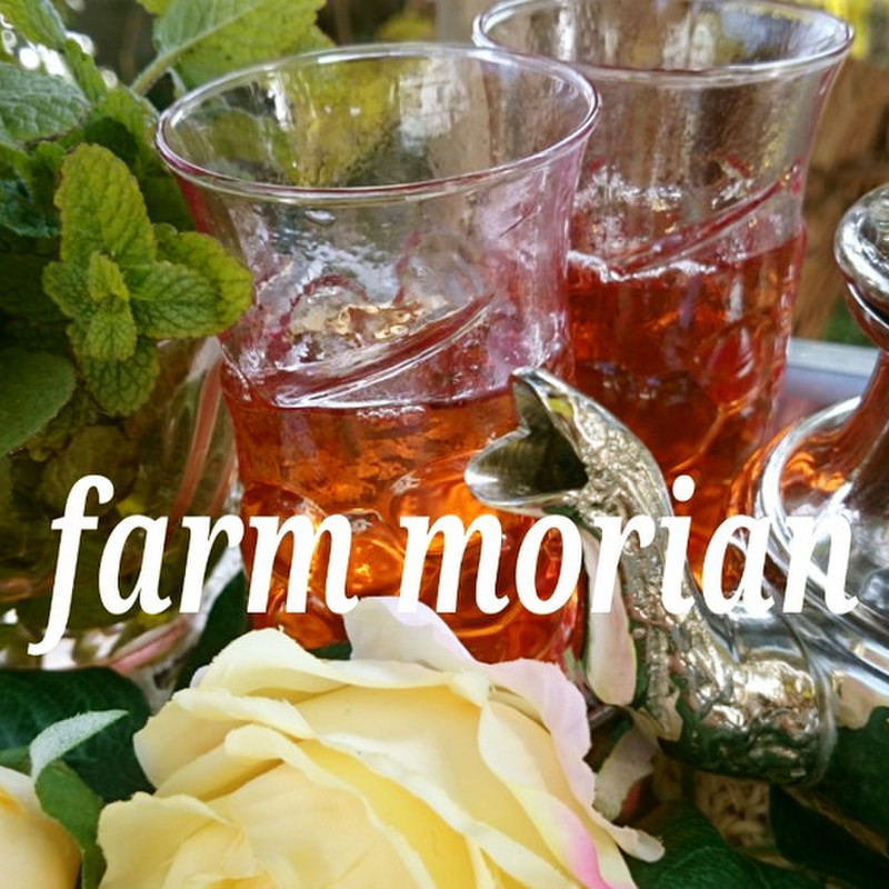 みんなが作ってる アップルミント ティーのレシピ クックパッド 簡単おいしいみんなのレシピが357万品