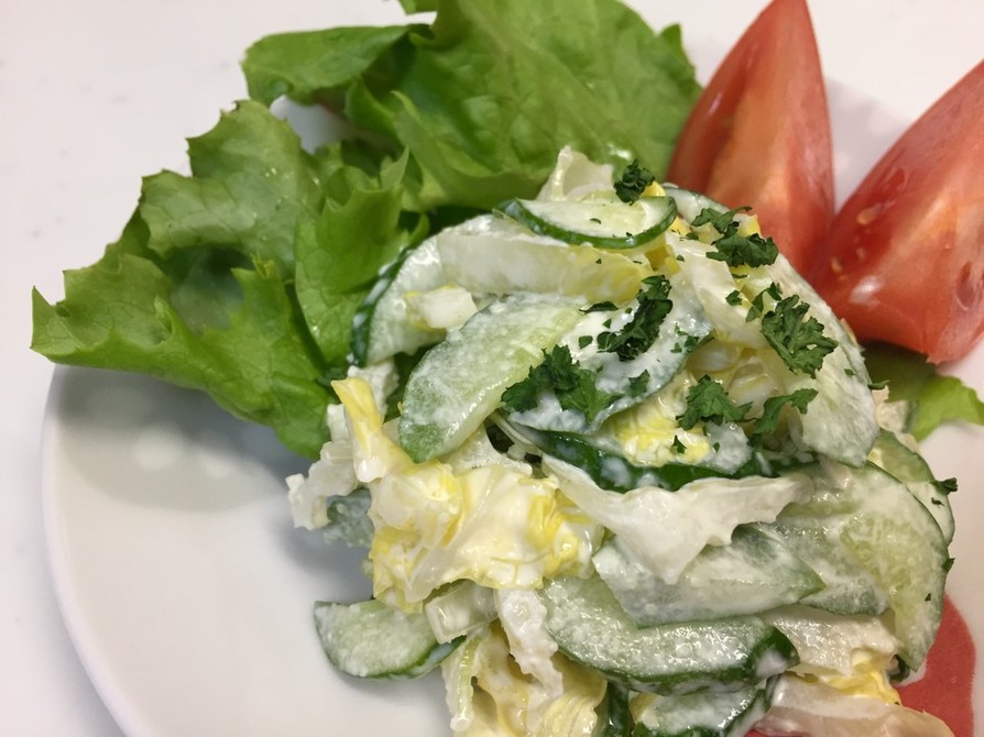 簡単‼ 白菜とキュウリのサラダの画像