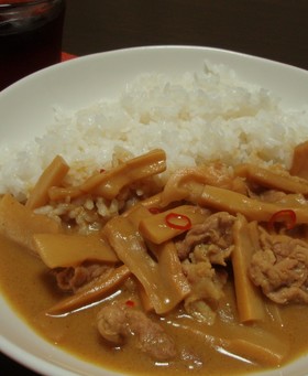 キャンプで簡単 あそび屋のココだけカレー