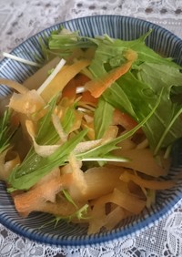 ヤーコンと水菜のサラダ