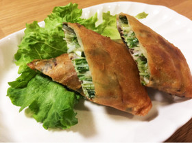 鰯の変わり春巻き