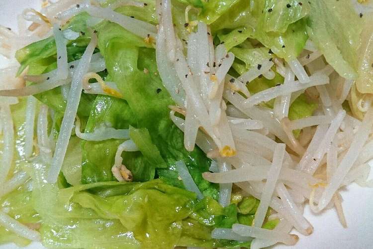 レタスともやし 鶏ガラ炒め レシピ 作り方 By えくすぺ クックパッド 簡単おいしいみんなのレシピが359万品
