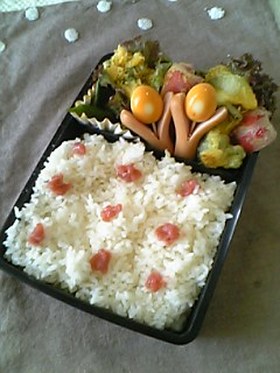 9月1日のお弁当