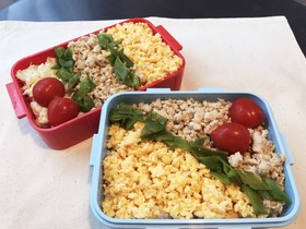 基本のそぼろご飯
