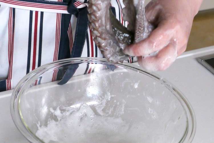蛸 たこ の塩洗いとゆで方 レシピ 作り方 By 伯方の塩 クックパッド