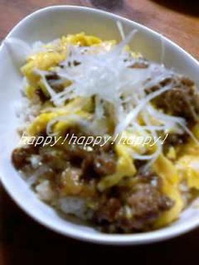 やさしい牛丼