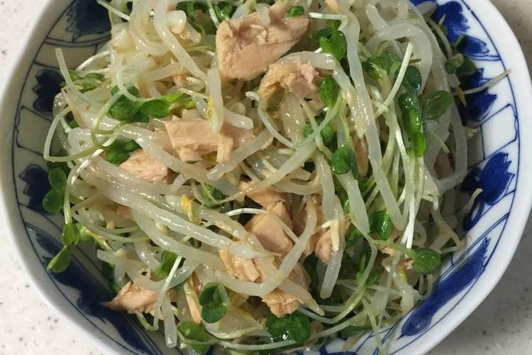 モヤシとカイワレのシーチキンポン酢 レシピ 作り方 By ウィキペディア クックパッド