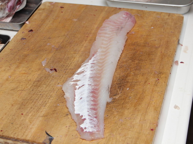魚の皮の剥がし方 応用可 レシピ 作り方 By 漁師の浜子 クックパッド 簡単おいしいみんなのレシピが360万品 魚の皮の剥がし方 応用可 レシピ 作り方 By 漁師の浜子 クックパッド 簡単おいしいみんなのレシピが360万品
