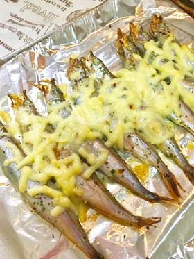 トースターで♡ししゃもの簡単チーズ焼き♡