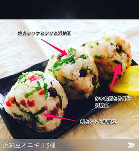 浜納豆三種オニギリ
