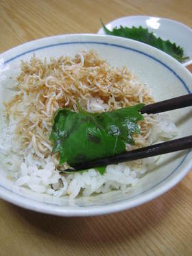 超簡単めし✿大葉巻き巻きじゃこご飯♪
