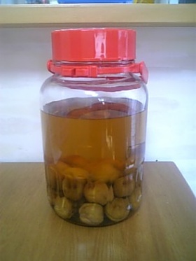 基本の果実酒♪梅酒