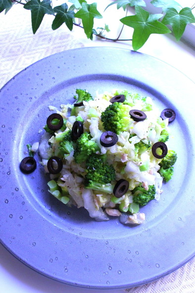 白菜とブロッコリーとシーチキンのサラダの写真