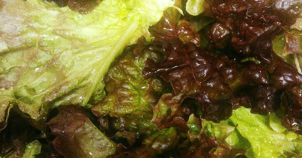 野菜の洗い方 虫が付いている場合 レシピ 作り方 By アンティル クックパッド 簡単おいしいみんなのレシピが351万品