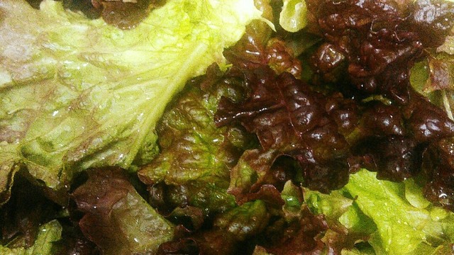 野菜の洗い方 虫が付いている場合 レシピ 作り方 By アンティル クックパッド 簡単おいしいみんなのレシピが349万品