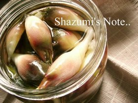 シンプルにみょうがの甘酢