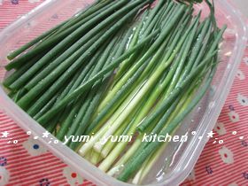 新鮮なままで☆青ねぎの保存方法