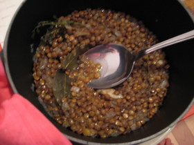 レンズ豆のスープ煮