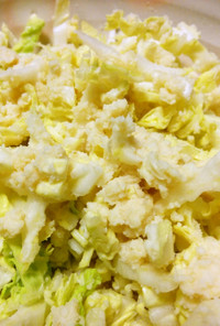 おからし酢味噌の白菜サラダ