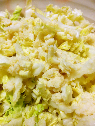 おからし酢味噌の白菜サラダの写真