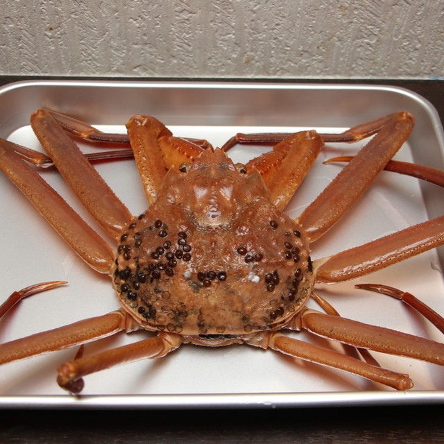 美味しいカニの見分け方 レシピ 作り方 By 漁師の浜子 クックパッド 簡単おいしいみんなのレシピが366万品 美味しいカニの見分け方 レシピ 作り方 By 漁師の浜子 クックパッド 簡単おいしいみんなのレシピが366万品