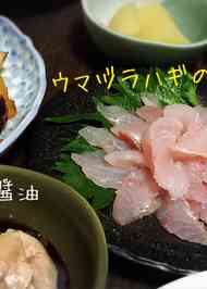 みんなが作ってる ウマヅラハギ 肝醤油のレシピ クックパッド 簡単おいしいみんなのレシピが372万品